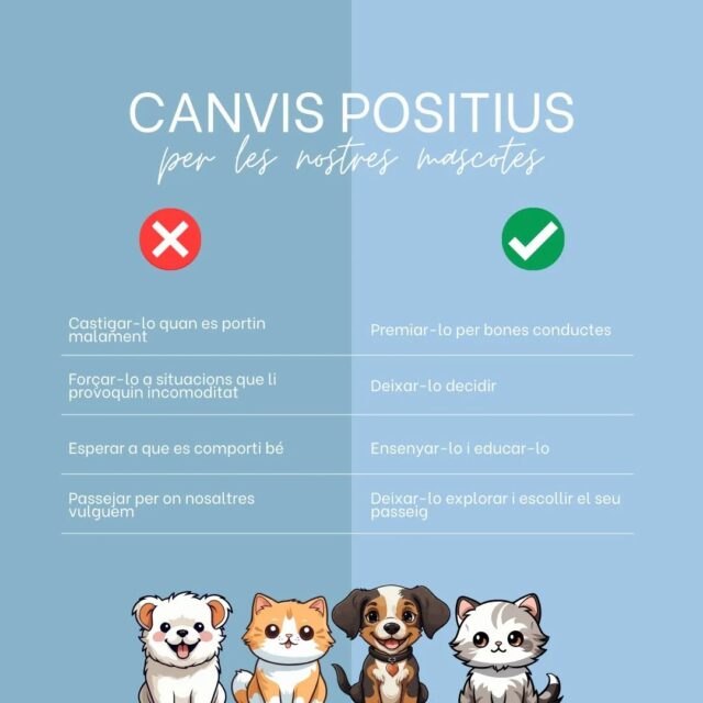 💡 Alguns canvis favorables que pots dur a terme amb la teva mascota 🐶🐱#canvis #empatia #comportament #educació #ensenyar #mascotes #salutanimal #connexió #consells