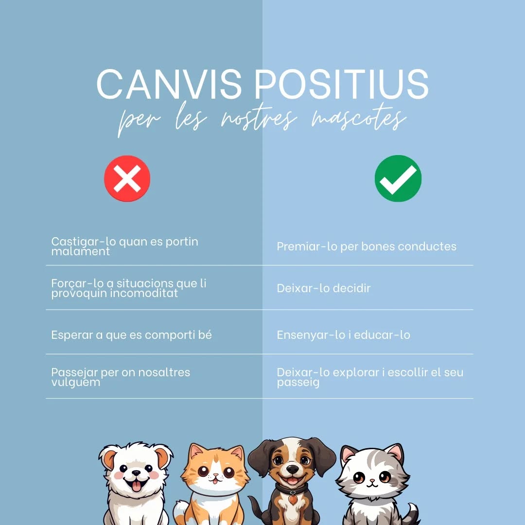 💡 Alguns canvis favorables que pots dur a terme amb la teva mascota 🐶🐱#canvis #empatia #comportament #educació #ensenyar #mascotes #salutanimal #connexió #consells