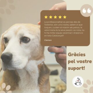 🫂 Gràcies sempre pel vostre suport i la vostra confiança dipositada en Centre Veterinàri Plaça Catalunya i tot l'equip que en formem part.
Gràcies pels vostres comentaris i ressenyes 🫶🏻

🐶🐱 Els vostres peluts són la nostra raó de ser.

#salutanimal #cvpc #equip #gràcies #manresa #centreveterinàri